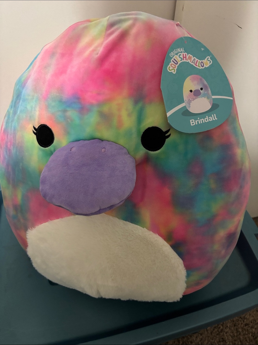 Brindall the Platypus Squishmallow 16" NWT